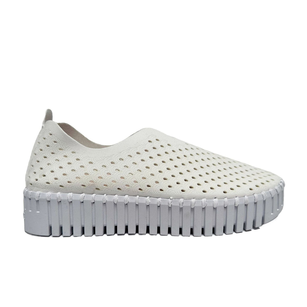 Tulip Platform Loafer Shoe - White By Ilse Jacobsen